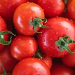 La guerra del tomate escala: aranceles de Trump sacuden la relación México-EE. UU.