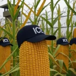 De los «alligators» a los «corns»; nueva cárcel de migrantes en Nebraska, Estados Unidos