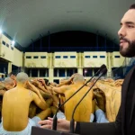 De terror a paz: El Salvador logra 1,000 días sin homicidios