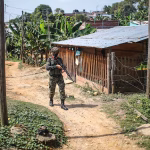 Colombia: el Catatumbo sangra entre el éxodo campesino y un territorio atrapado en una guerra