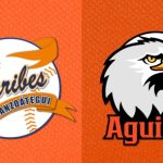 Jornada crucial en el beisbol venezolano: Chocan los cuatro equipos con opciones finalistas