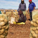 EE.UU.: el 10 por ciento agrícola que sacude a Latinoamérica