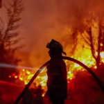 EE.UU.: Incendios en Florida, una advertencia