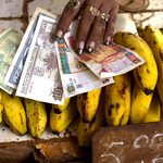 Giro económico en Cuba: El Estado abre licitaciones a privados y promete «eliminar restricciones»